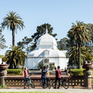 golden gate park ebike tour