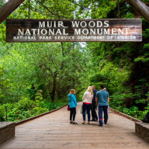 muir woods national monument entrance