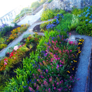 Photo-Gardens in san francisco