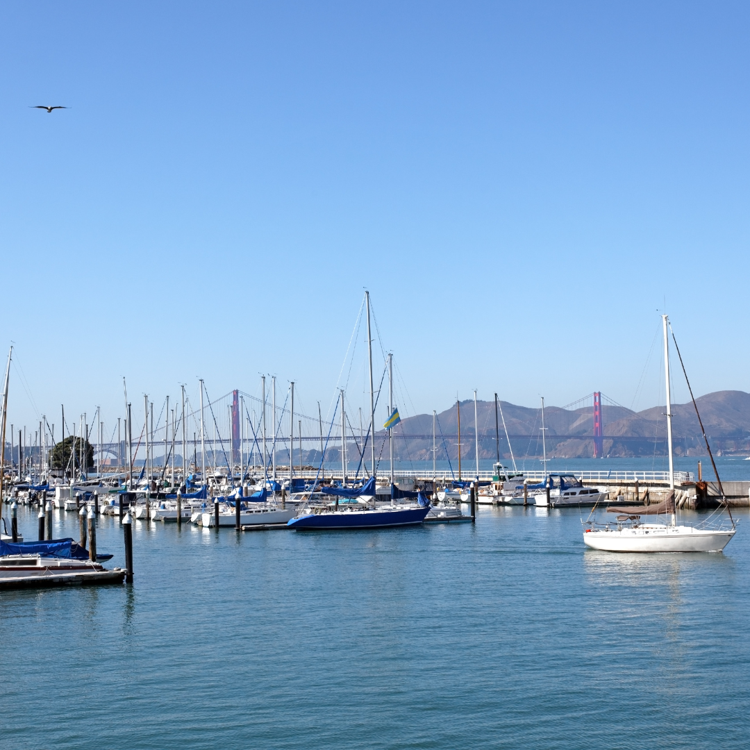 boats docked in the san francisco marina