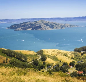 angel island on an overlook seeing angel island in the background