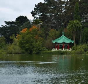 golden gate park loop the japanese garden in golden gate park